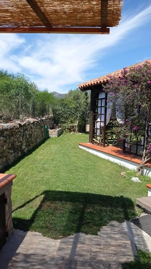 Bouganville Holiday home San Teodoro (Sardinia)