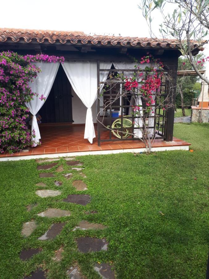 Bouganville Holiday home